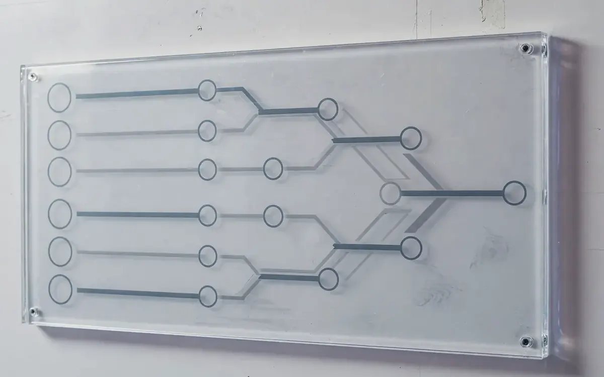 How Apex11 reads a tournament — Apex11 editorial frame