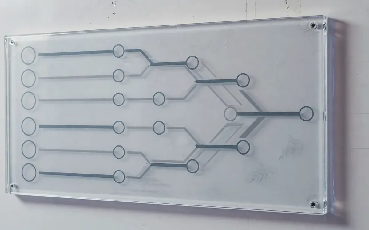 Typical flow — Apex11 editorial frame
